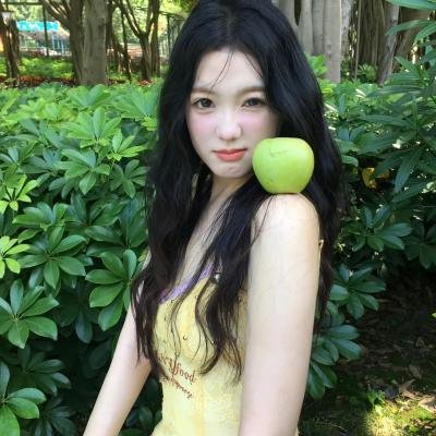 鸽之翼